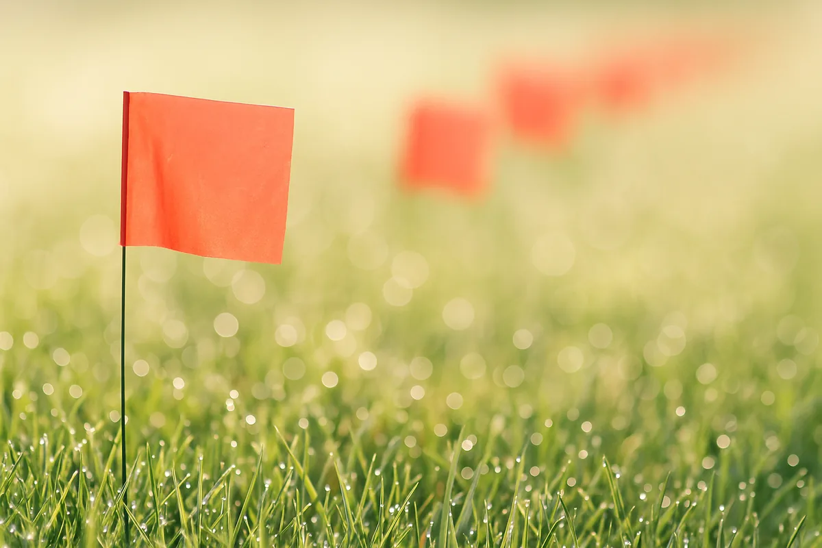 Rangée de petits fanions rouges plantés dans l'herbe, le premier net et les suivants flous