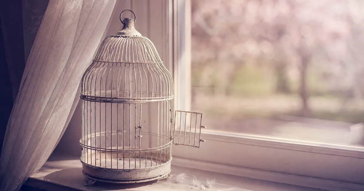 Une cage à oiseaux vide, la porte grande ouverte, posée sur le rebord d'une fenêtre avec quelques plumes
